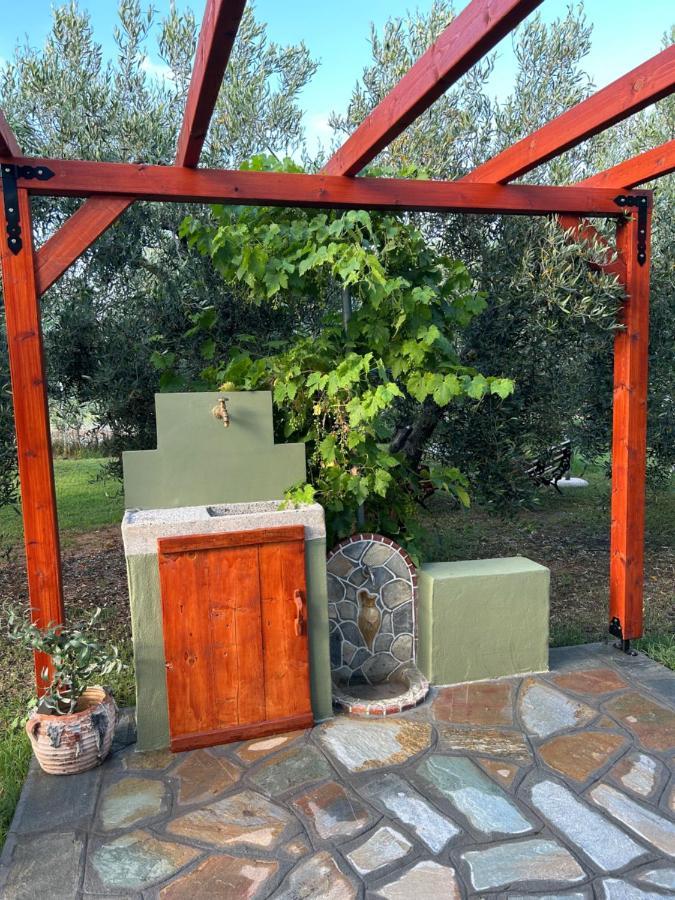Green Olive Studios 2 Agios Mamas  Ngoại thất bức ảnh